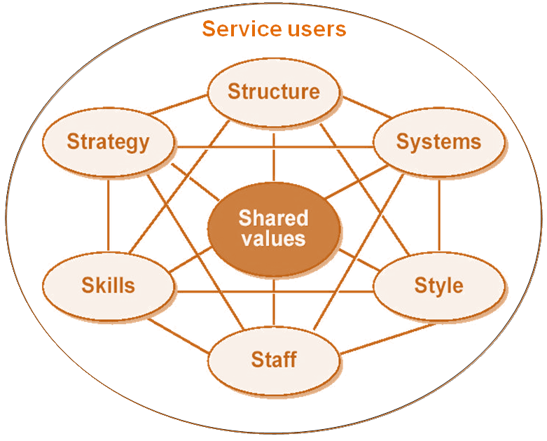 The 8S model - adapted from the McKinsey 7S framework.